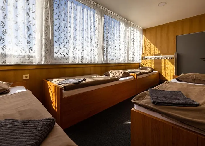 Hotel Zimni Stadion 2*